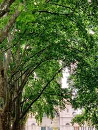 Carlton Gardens – Melbourne, Australia