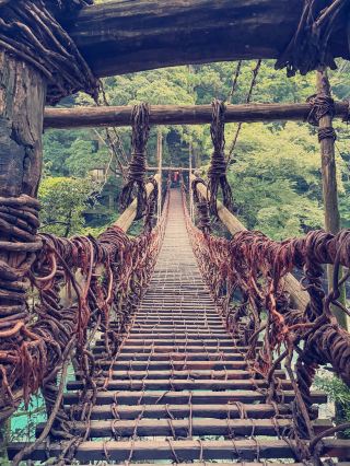 Pilgrimage of One: My Solo Hiking & Travel Adventure in Shikoku, Japan
