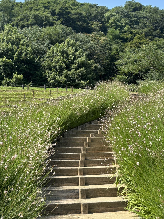 神戶9月最靚戶外自然打卡地