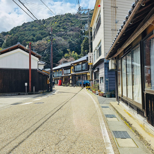 伊根舟屋｜日本海上的秘境小鎮與餵海鷗的浪漫郵輪