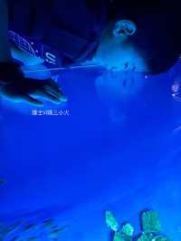 《沖繩親子景點| DMM水族館》