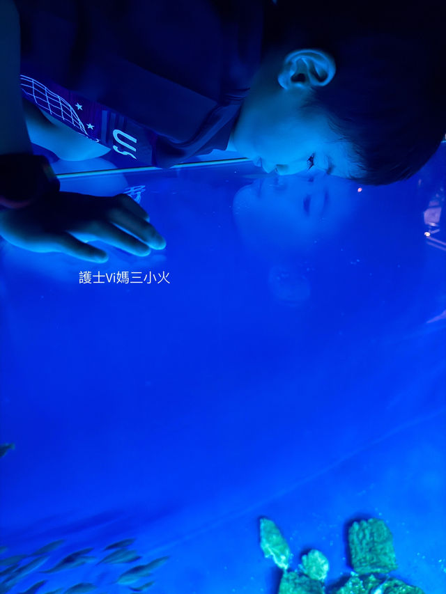 《沖繩親子景點| DMM水族館》