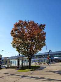 Toyama Station มีอะไรน่าแวะนะะะ ?