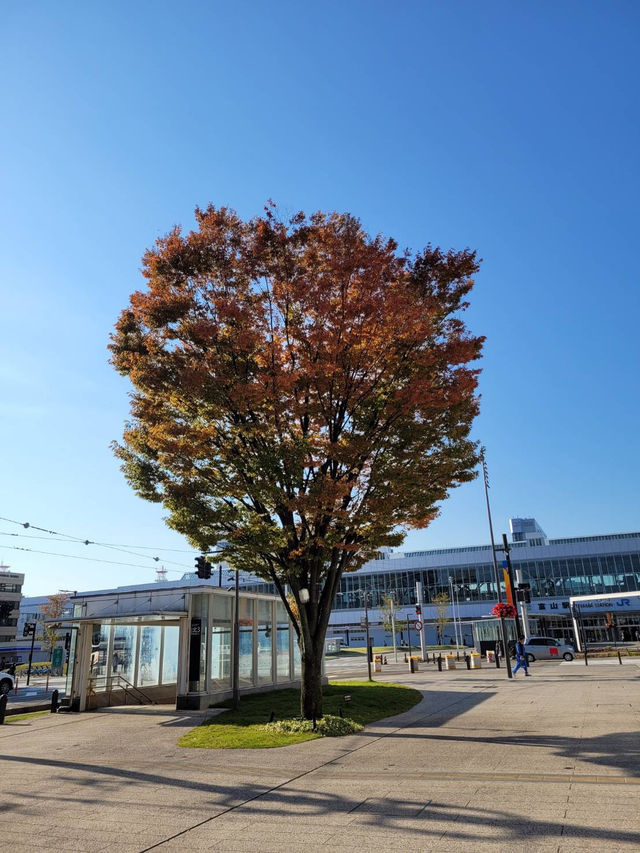 Toyama Station มีอะไรน่าแวะนะะะ ?