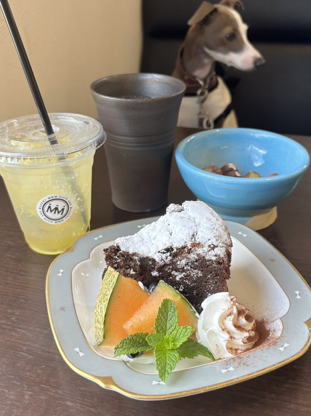 【福岡カフェ】愛犬家にも優しいステキなカフェ 【福岡カフェ】愛犬家にも優しいステキなカフェ