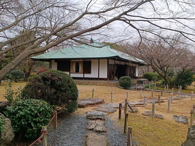 Nagoya Heritage Vibes🏯