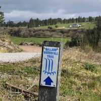Ballard Waterfall Forest Recreational Area – Hidden Cascades & Woodland Loops of North Cork