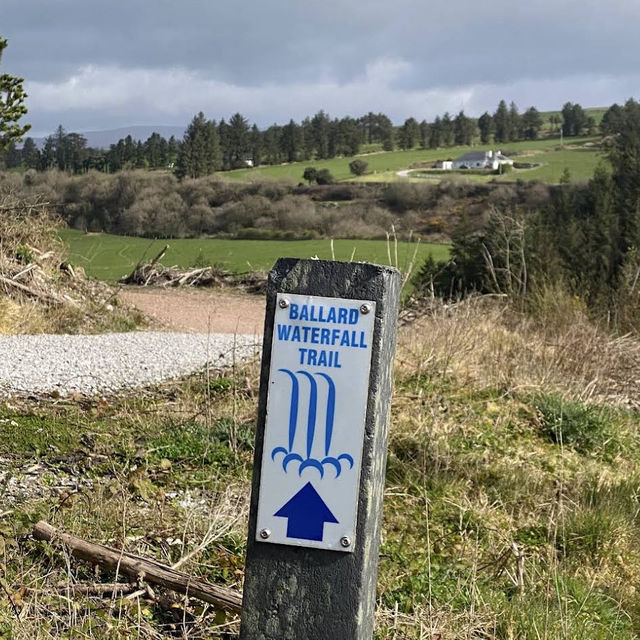 Ballard Waterfall Forest Recreational Area – Hidden Cascades & Woodland Loops of North Cork