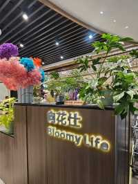 室內賞花享受慢時光