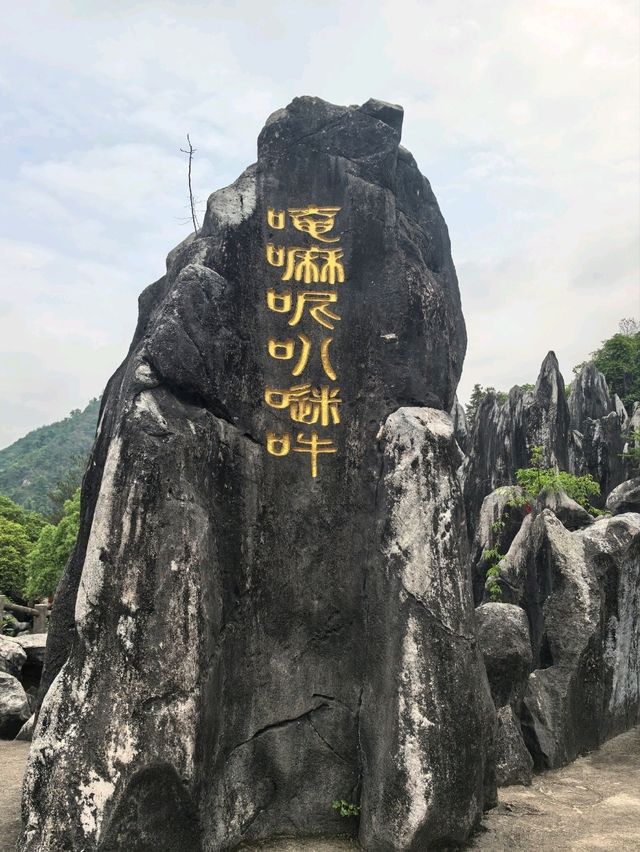 廣西賀州玉石林奇景如入水墨畫🎨