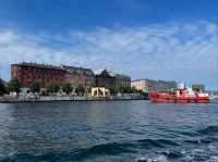 Soaking Up the Charm of Copenhagen