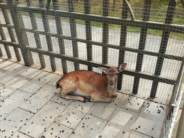 勞動公園免費入場超chill放鬆