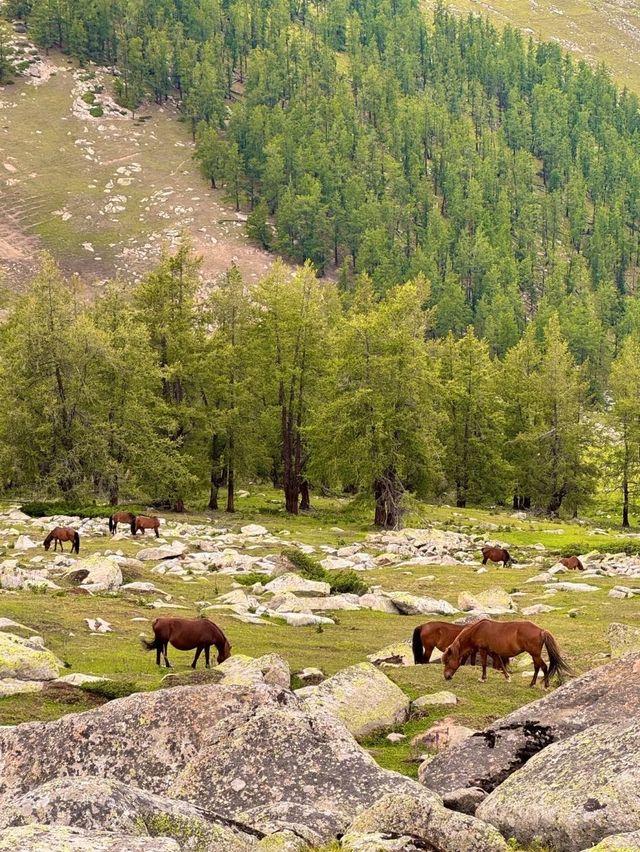 Golden Leaves, Crystal Lakes: The Colors of Altay
