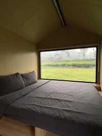 HealingStaycation: Bobocabin Pangalengan