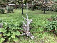 免費入場臥松園區打卡推介🌳