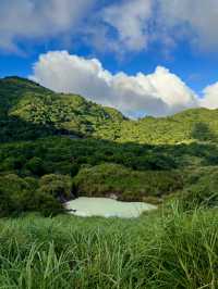 Escape to YangMingShan (QingTiangGang & LengShuiKeng) 🍃🌳