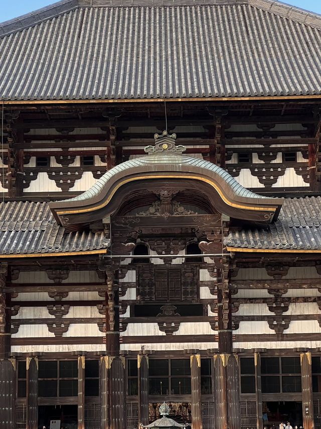 🦌 Day Trip to Nara – Gardens, Deer & Matcha 🍦