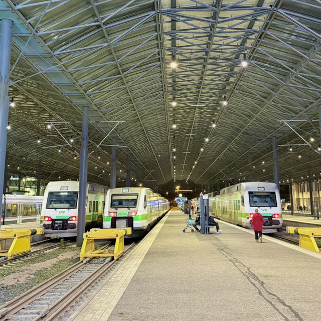 🇫🇮ヘルシンキからラップランドへの魔法の夜行列車！ ❄️✨