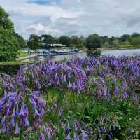 Poole Park