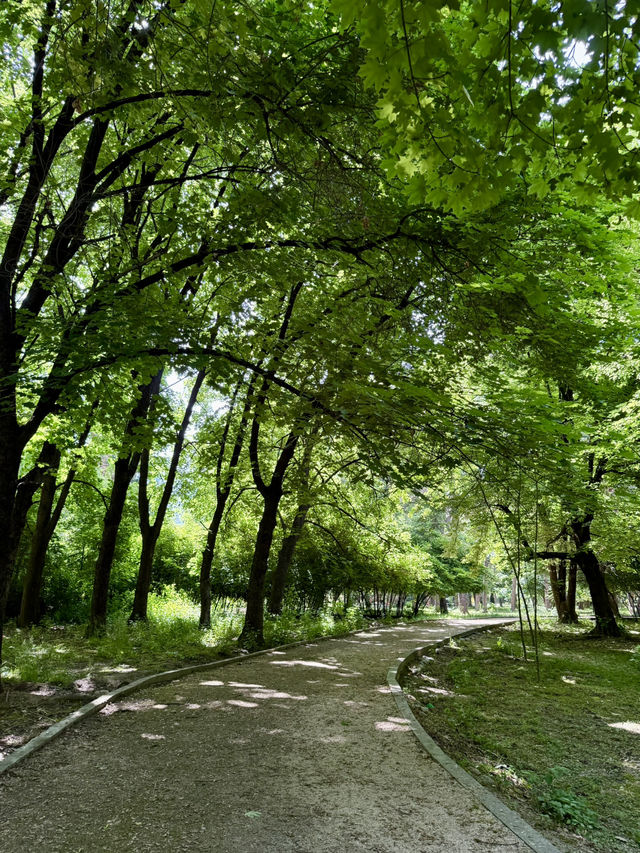 🌿 Park Hopping for Peace in Dushanbe
