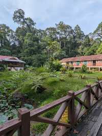 1StopBorneo Wildlife - Malaysia 