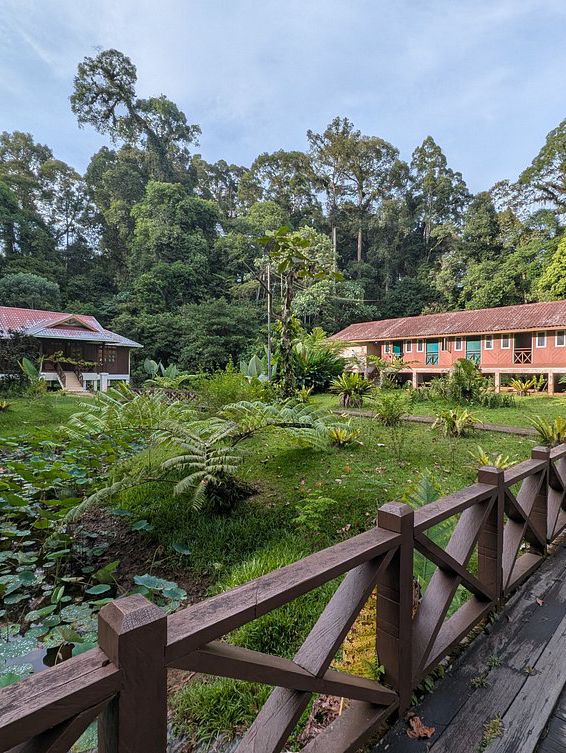 1StopBorneo Wildlife - Malaysia 