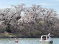Bomun Lake