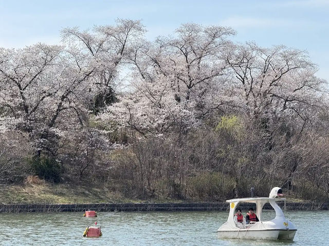 Bomun Lake