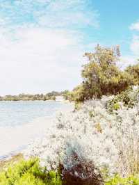 🇦🇺🌊 Perth's Blue Boat House + Kings Park: The Ultimate Instagram Trail! 📸 