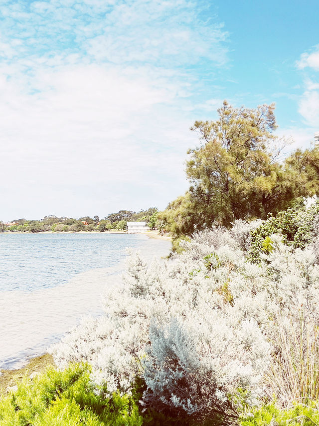 🇦🇺🌊 Perth's Blue Boat House + Kings Park: The Ultimate Instagram Trail! 📸 