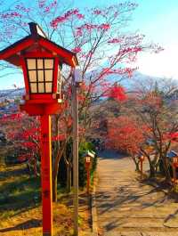 Autumn Spectacle at Arakurayama Sengen Temple, Japan