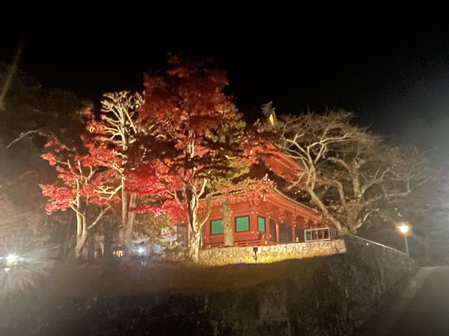 【秋の日光】おすすめスポット