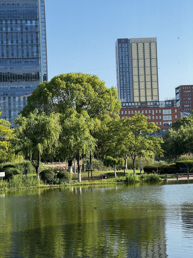 ปอดสีเขียวกลางเมืองหนิงโป Yinzhou Park 🌳🍃🌿