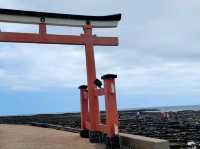 解鎖宮崎！20250919-22南九州宮崎四天三夜自由行