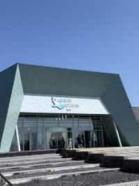 Make a Splash at Aqua Planet Jeju: The Ultimate Family Day Out! 🐠🌊