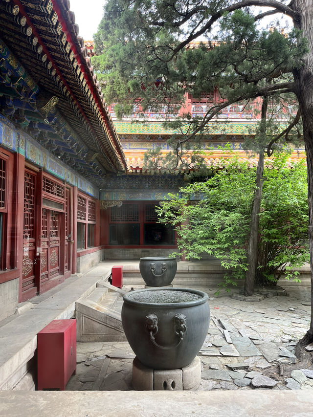 🏯中国の歴史を感じる｜北京・故宮博物館・紫禁城