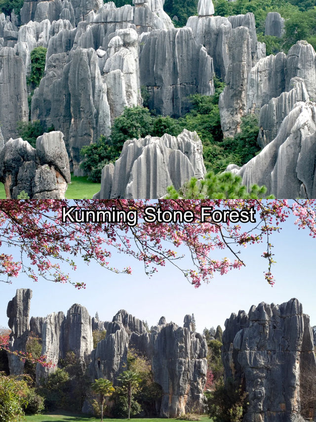 Kunming Stone Forest  Kunming Stone Forest