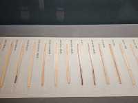 Unveiling History at Hunan Provincial Museum: Lady Dai’s Tomb & Ancient Artifacts 🏛️🔥