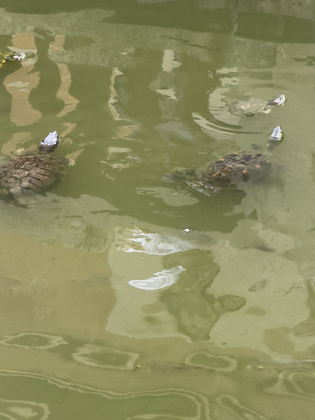 🎉泉州必打卡!🕌 海上絲綢🎉泉州必打卡!🕌 海上絲綢之路的起點 — 天后宮的神奇魅力✨之路的起點 — 天后宮的神奇魅力✨ 🎉泉州必打卡!🕌 海上絲綢🎉泉州必打卡!🕌 海上絲綢之路的起點 — 天后宮的神奇魅力✨之路的起點 — 天后宮的神奇魅力✨