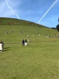 ชมพระอาทิตย์ตกที่ Mount Wakakusa Nara