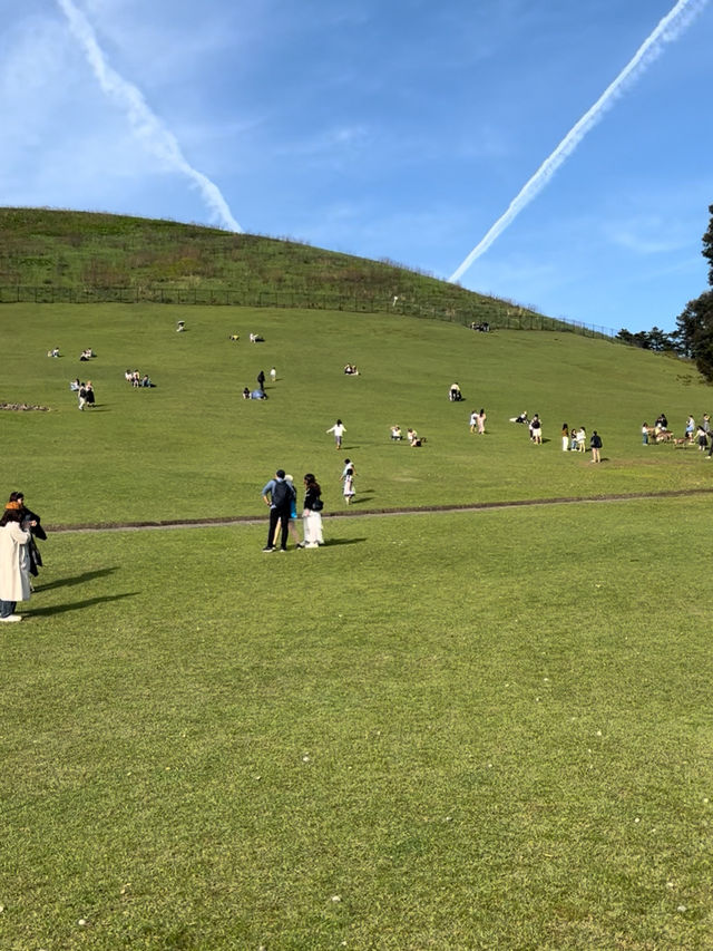ชมพระอาทิตย์ตกที่ Mount Wakakusa Nara ชมพระอาทิตย์ตกที่ Mount Wakakusa Nara