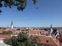 【エストニア】パットクリ展望台