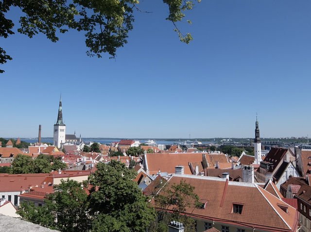 【エストニア】パットクリ展望台