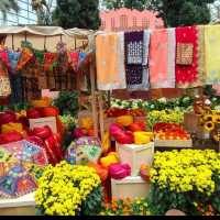 Blooming Beauty in the Flower Dome 🌸