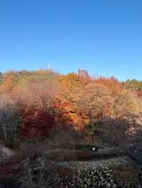 🌿걷기 좋은 아차산 산책로