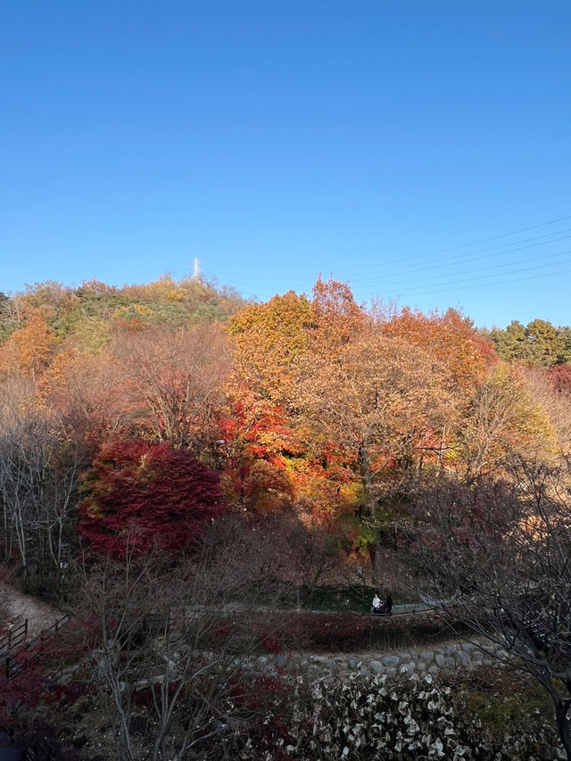 🌿걷기 좋은 아차산 산책로