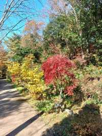 가을이 포근하게 감싸주는 경남수목원