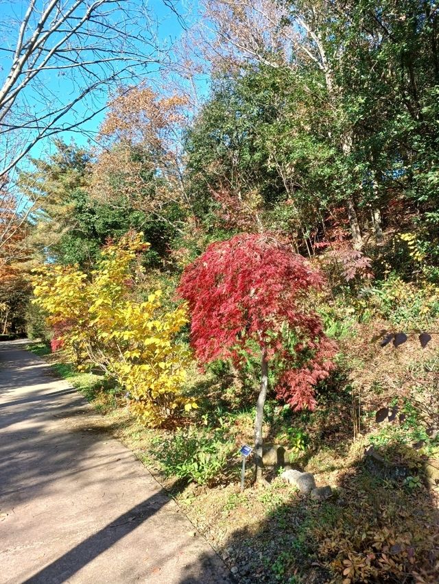 가을이 포근하게 감싸주는 경남수목원 가을이 포근하게 감싸주는 경남수목원