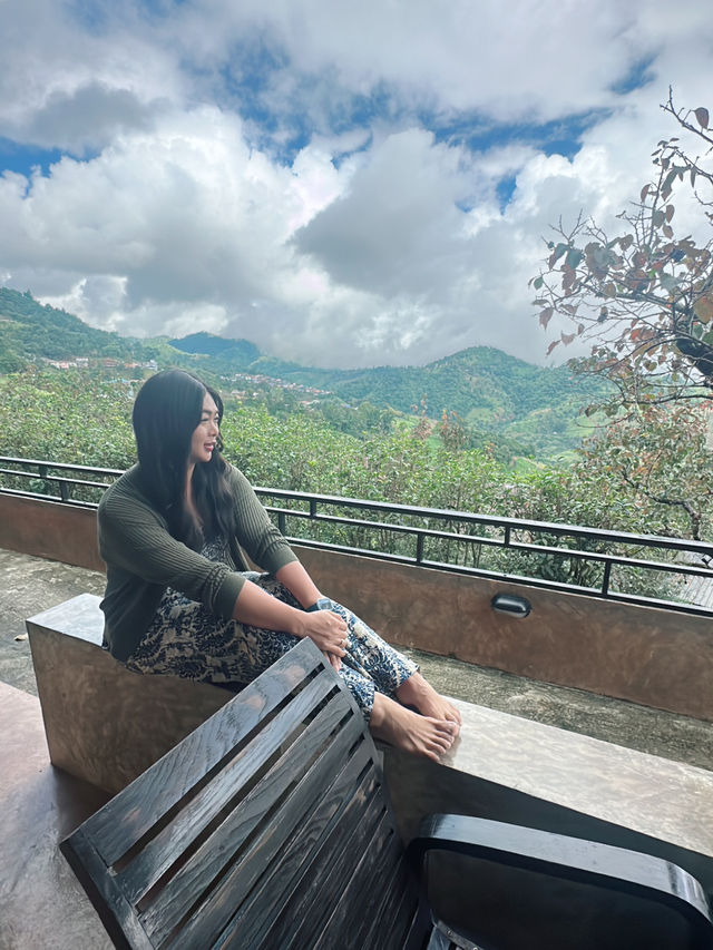 เที่ยวดอยแม่สองเชียงรายกันคะ