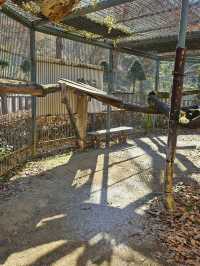 🐯동물들을 사랑하는 동물원 청주랜드동물원 다녀오기🦁